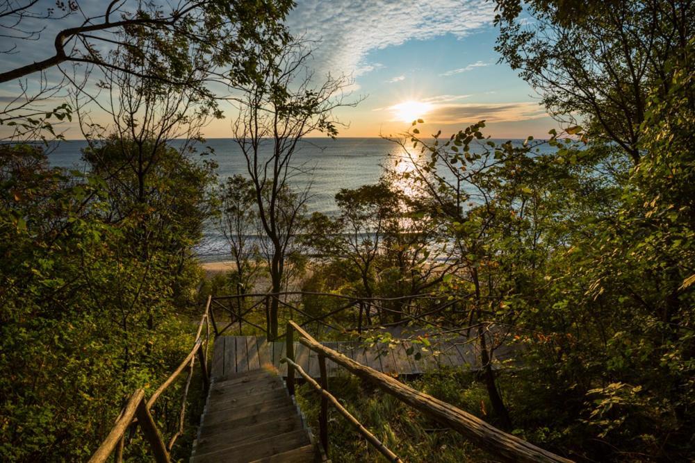 Vita Rama Holistic Hotel And Retreats - Vegan Full Board Obzor Dış mekan fotoğraf